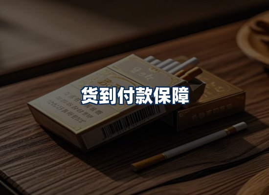 专业团队办公环境